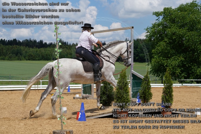 s_K3F06227.JPG